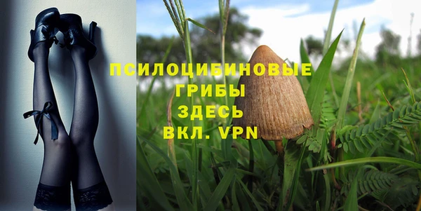 прущие крисы Михайловск