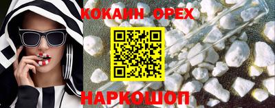дмт Аргун