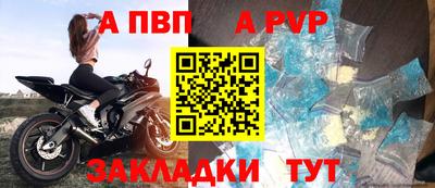 дмт Аргун