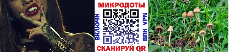Псилоцибиновые грибы мицелий  Борисоглебск 