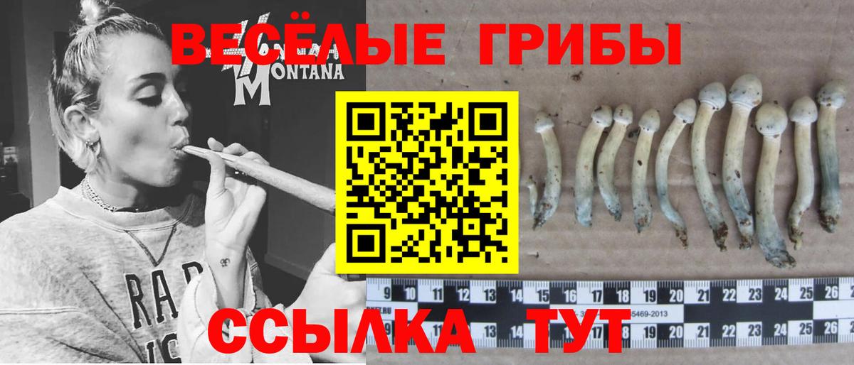 закладка  Вход с VPN  Борисоглебск  Псилоцибиновые грибы GOLDEN TEACHER 