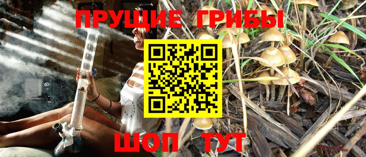 Галлюциногенные грибы мухоморы  Галлюциногенные грибы Magic Shrooms  Борисоглебск 